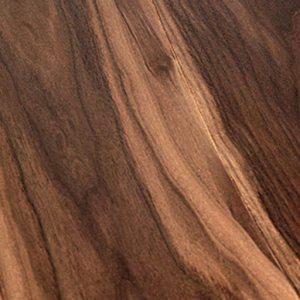 nogal